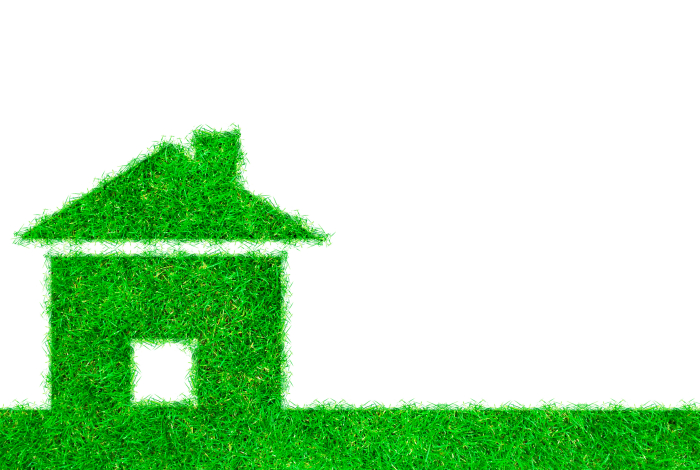 5 naravnih materialov za trajnostno gradnjo