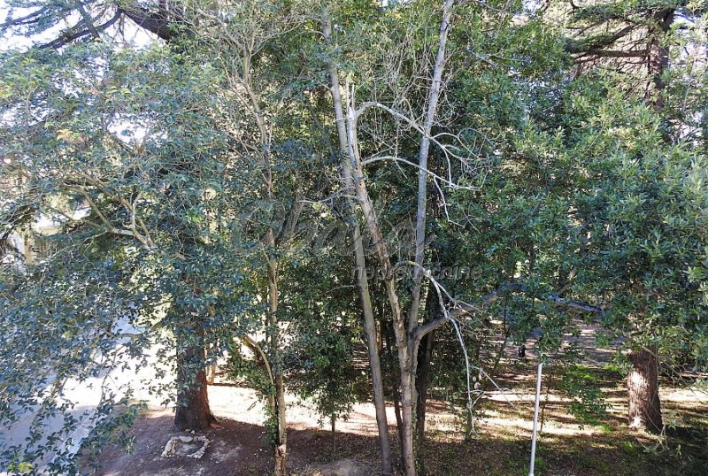 Nepremičnina Ankaran, Sončni park - galerija 20