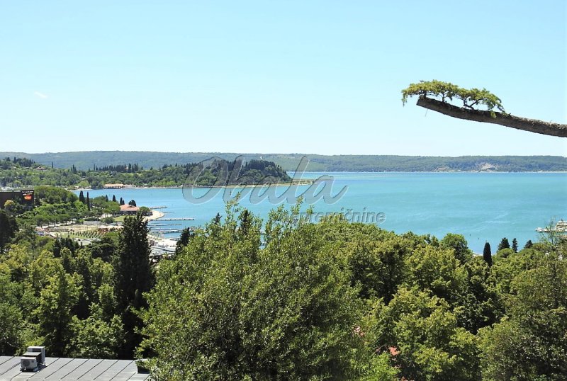 Nepremičnina Portorož, center, bližina hotela Palace - galerija 38