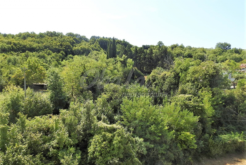 Nepremičnina Lucija, Rezidenca Park Lucija - galerija 12