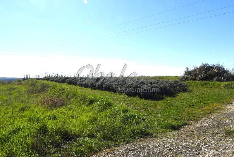 Nepremičnina Izola, Korte - galerija 3