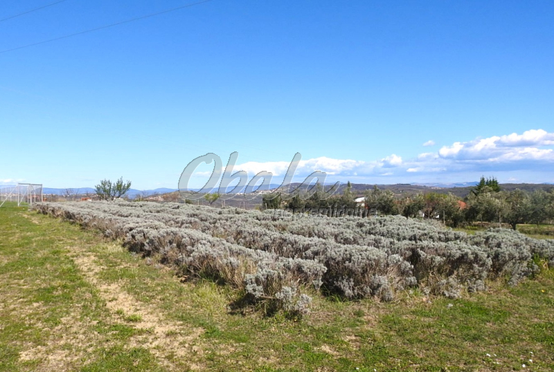 Nepremičnina Izola, Korte - galerija 6