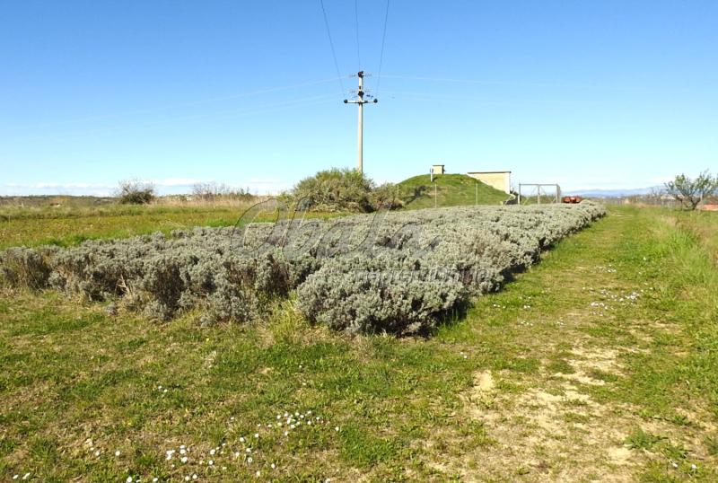 Nepremičnina Izola, Korte - galerija 7