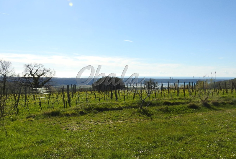 Nepremičnina Izola, Korte - galerija 8