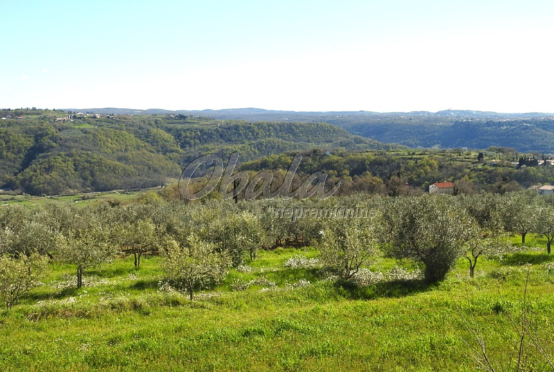 Nepremičnina Izola, Korte - galerija 10