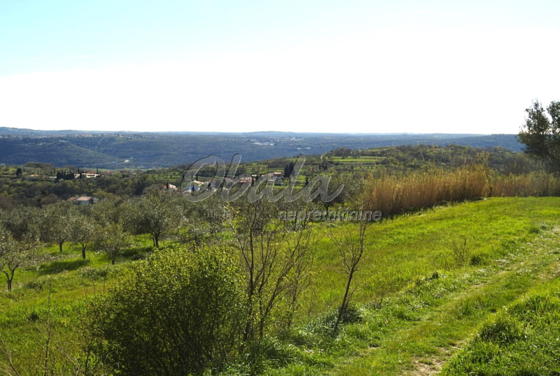 Nepremičnina Izola, Korte - galerija 11