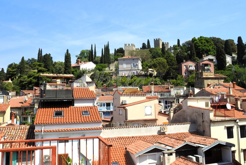 Realestate Piran, Vodnikov trg - galerija 24