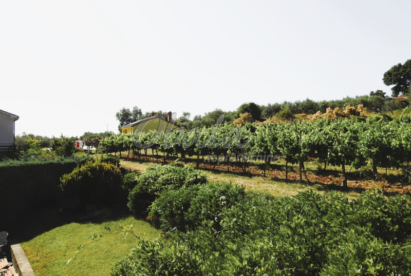 Nepremičnina Koper, Koštabona - galerija 50