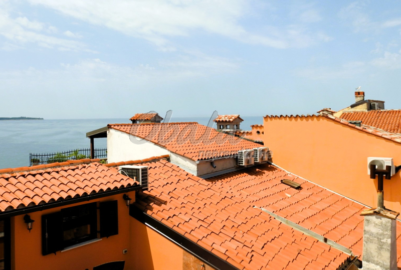Nepremičnina Piran, Punta, druga vrsta ob morju - galerija 22