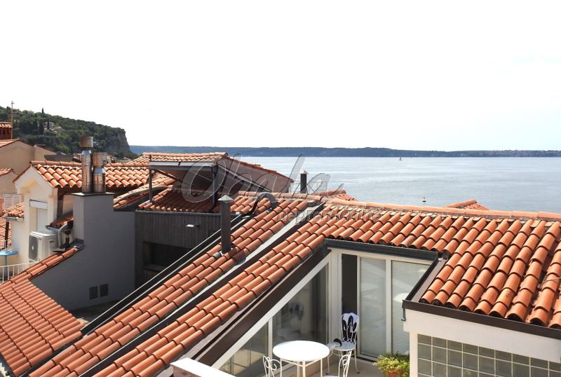 Nepremičnina Piran, Punta, druga vrsta ob morju - galerija 24