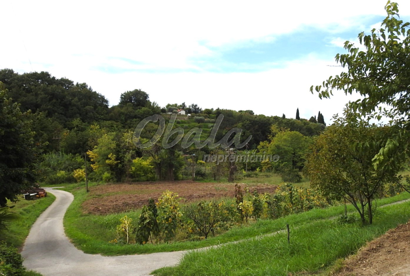 Nepremičnina Lucija, Seča, pod Nožedom - galerija 9