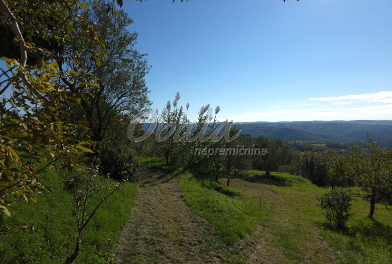 Nepremičnina Izola, Šared - galerija 2