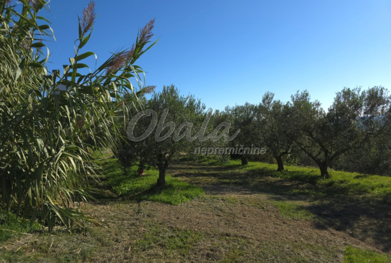 Nepremičnina Izola, Šared - galerija 4