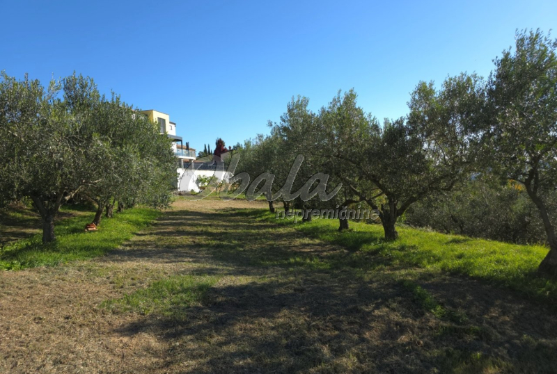 Nepremičnina Izola, Šared - galerija 6