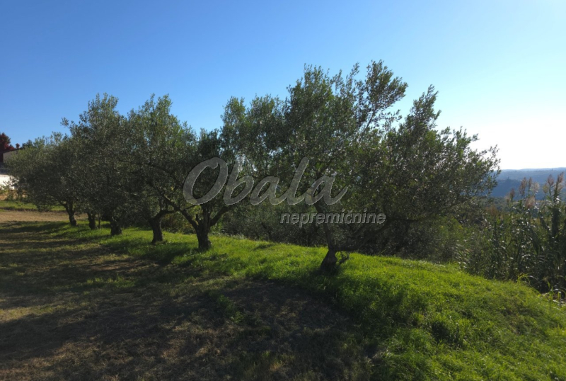 Nepremičnina Izola, Šared - galerija 5