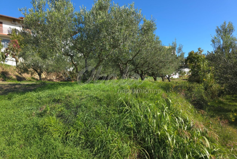 Nepremičnina Izola, Šared - galerija 7