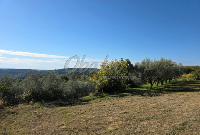 Nepremičnina Izola, Šared - galerija 8