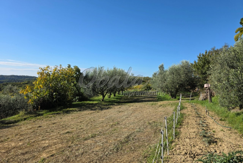 Nepremičnina Izola, Šared - galerija 9