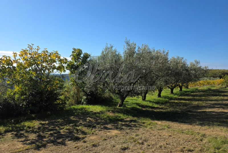 Nepremičnina Izola, Šared - galerija 10