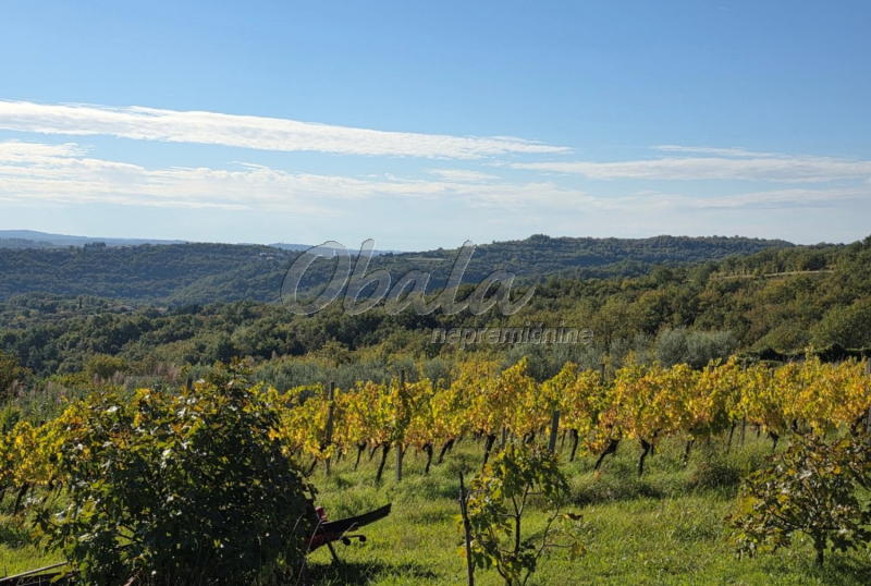 Nepremičnina Izola, Šared