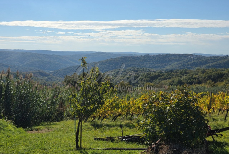 Nepremičnina Izola, Šared - galerija 12