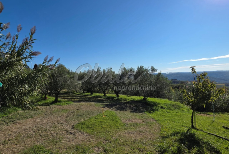 Nepremičnina Izola, Šared - galerija 3