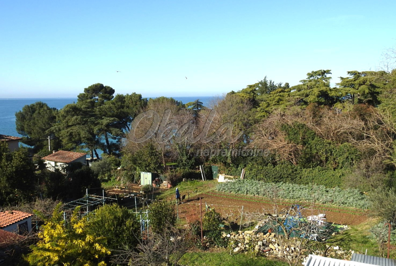 Nepremičnina Izola, rob starega mesta, le 100 m od morja - galerija 34