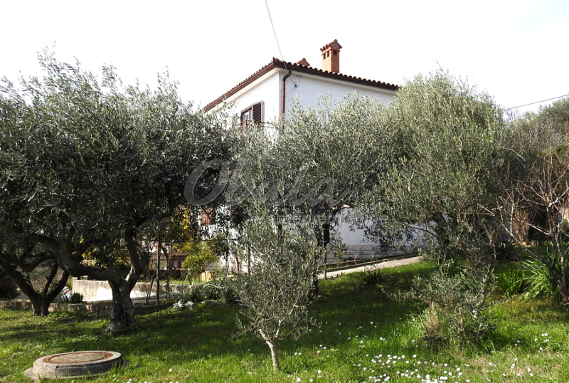 Nepremičnina Lucija, Kampolin - galerija 2