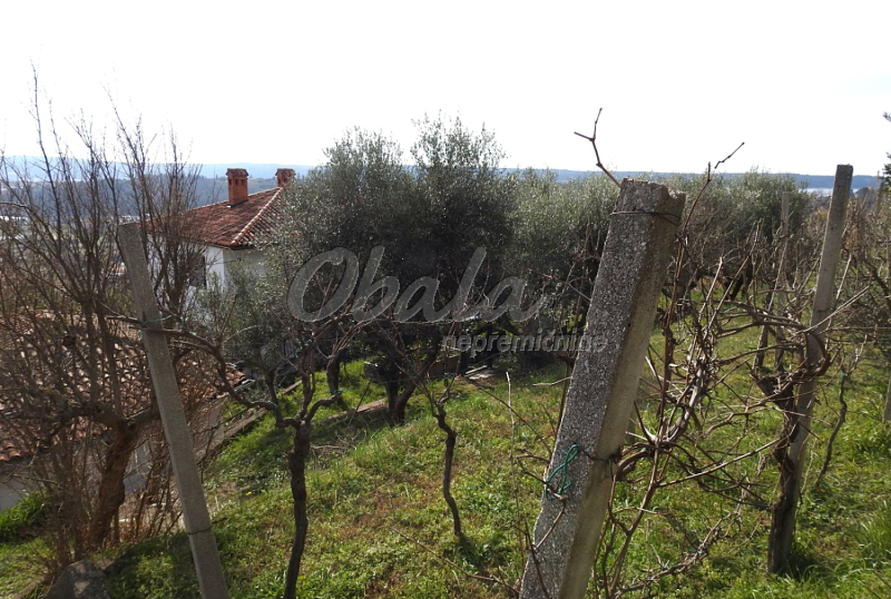 Nepremičnina Lucija, Kampolin - galerija 3