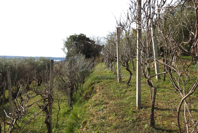 Nepremičnina Lucija, Kampolin - galerija 4