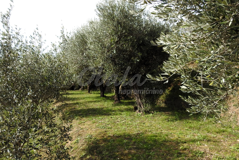 Nepremičnina Lucija, Kampolin - galerija 5