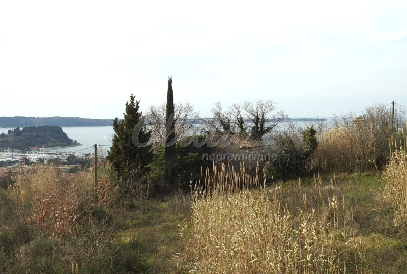 Nepremičnina Lucija, Kampolin - galerija 14