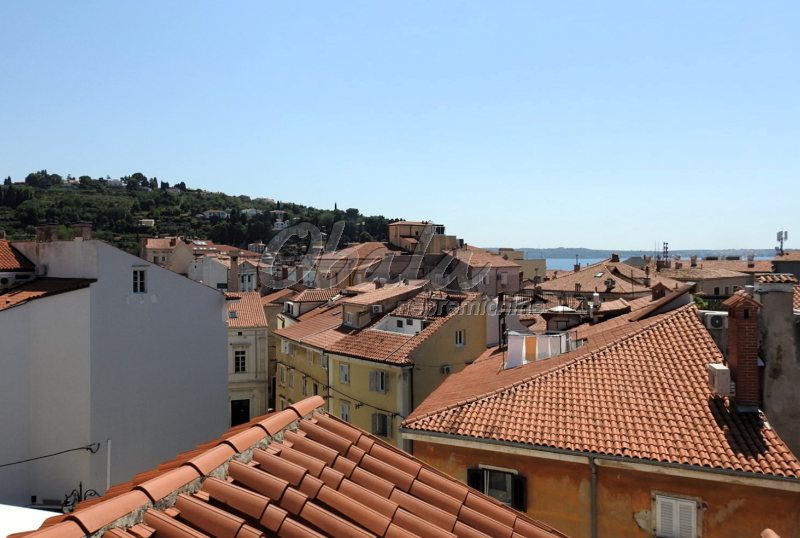 Nepremičnina Piran, bližina zelenjavnega trga - galerija 8