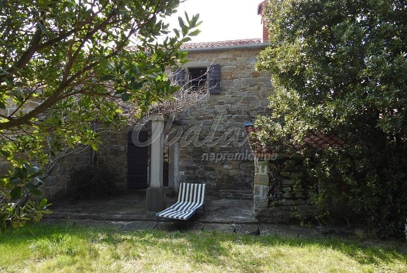 Nepremičnina Koper, okolica Pomjana - galerija 21