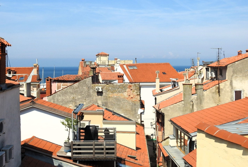 Realestate Piran, Vodnikov trg