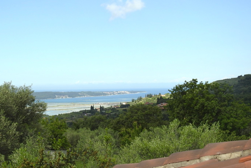 Realestate Izola, Korte